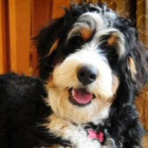 Meet your Posher, Elina